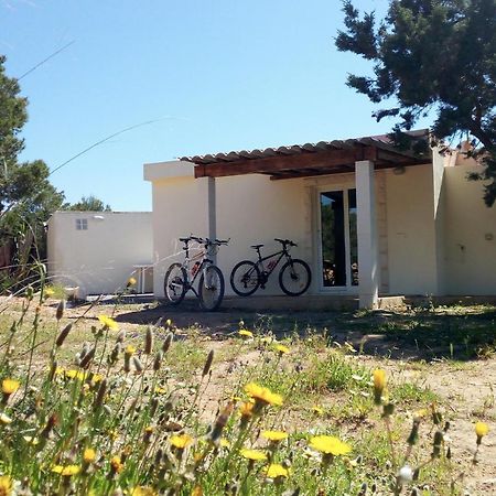 La Casita Yolanda, Ideal Parejas - Formentera Natural Sant Ferran de Ses Roques Exterior photo